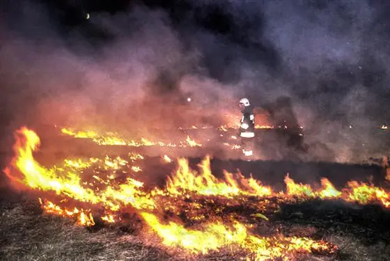 Pożar traw – 26.03.2015 — zdjęcie 2