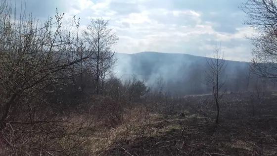 Pożar traw – 28.03.2016 — zdjęcie 12