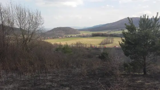 Pożar traw – 28.03.2016 — zdjęcie 15