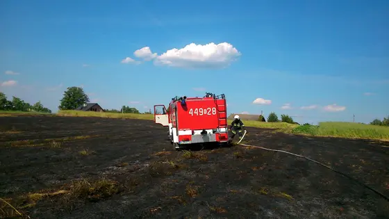 Pożar traw – 28.06.2014