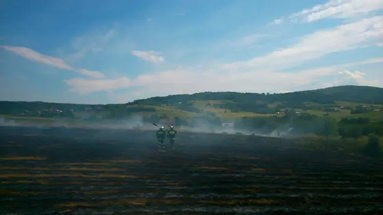Pożar traw – 28.06.2014 — zdjęcie 2