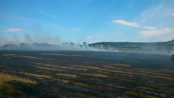 Pożar traw – 28.06.2014 — zdjęcie 4