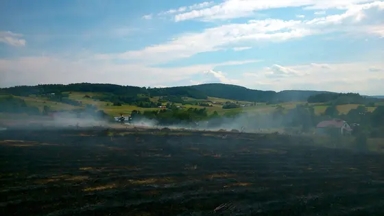 Pożar traw – 28.06.2014 — zdjęcie 7
