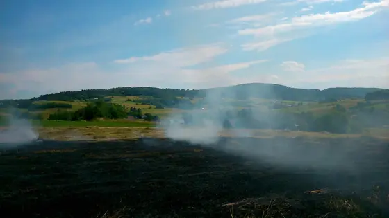 Pożar traw – 28.06.2014 — zdjęcie 9