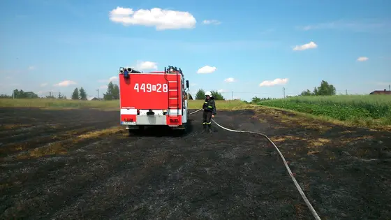 Pożar traw – 28.06.2014 — zdjęcie 10