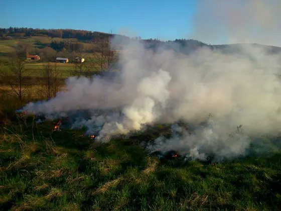 Pożar traw – 29.03.2014