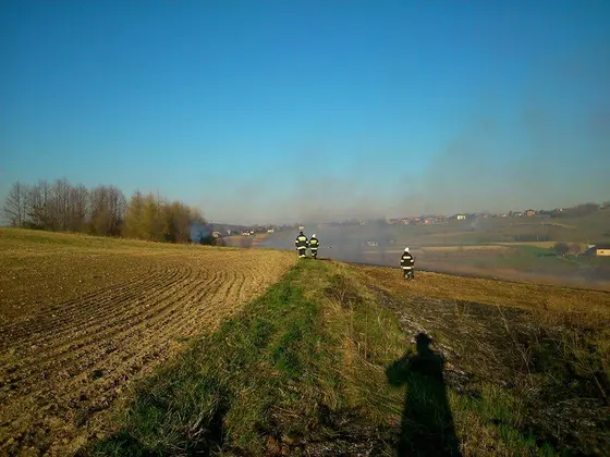 Kronika jednostki 2014 — cały rok — zdjęcie 1415