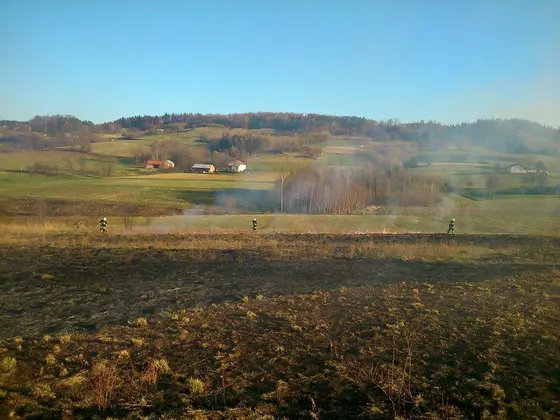 Kronika jednostki 2014 — cały rok — zdjęcie 1419