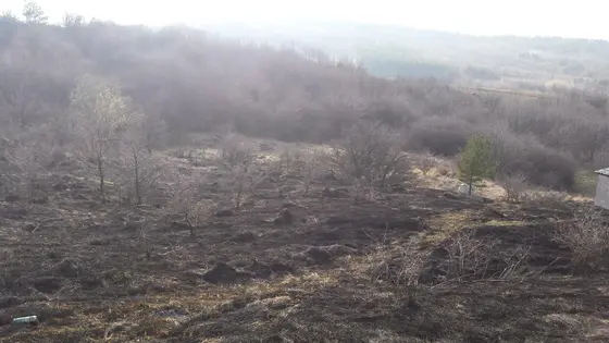 Pożar traw – 29.03.2015 — zdjęcie 4