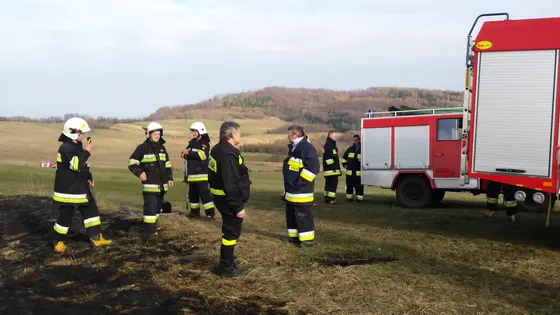 Pożar traw – 29.03.2015 — zdjęcie 5
