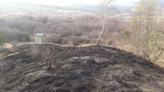 Pożar traw – 29.03.2015 — zdjęcie 6