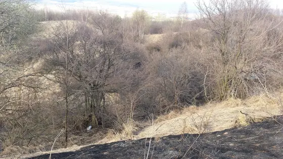 Pożar traw – 29.03.2015 — zdjęcie 8