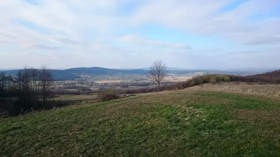 Pożar traw – 29.03.2015 — zdjęcie 10