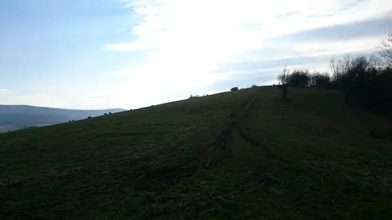 Pożar traw – 29.03.2015 — zdjęcie 11