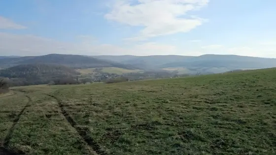 Pożar traw – 29.03.2015 — zdjęcie 13