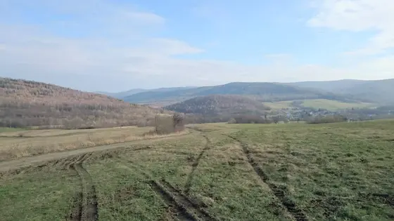 Pożar traw – 29.03.2015 — zdjęcie 14