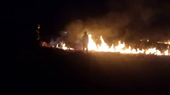 Pożar traw – 29.03.2015 — zdjęcie 15