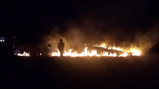 Pożar traw – 29.03.2015 — zdjęcie 17