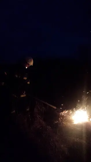 Pożar traw – 29.03.2015 — zdjęcie 18