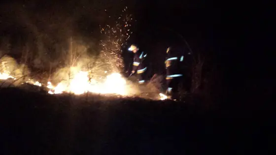 Pożar traw – 29.03.2015 — zdjęcie 23