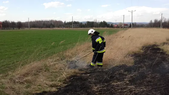 Kronika jednostki 2016 — cały rok — zdjęcie 742