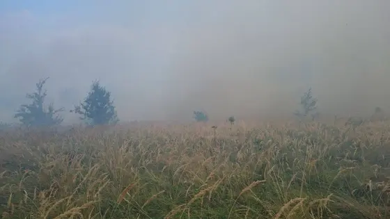Pożar traw – 29.08.2015