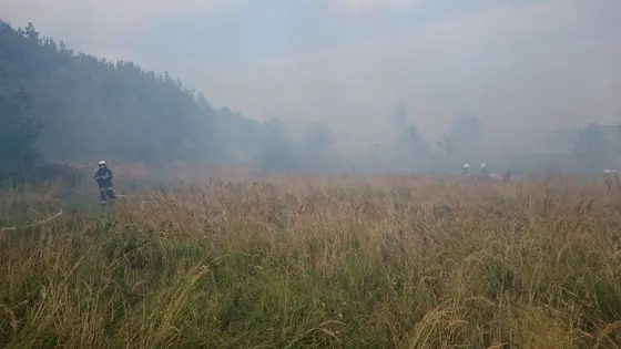 Pożar traw – 29.08.2015 — zdjęcie 2