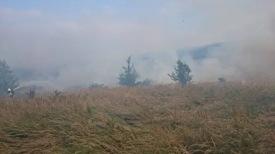 Pożar traw – 29.08.2015 — zdjęcie 4