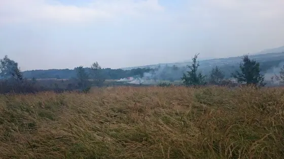 Pożar traw – 29.08.2015 — zdjęcie 6