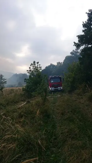 Pożar traw – 29.08.2015 — zdjęcie 7