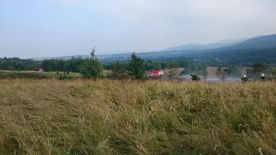 Pożar traw – 29.08.2015 — zdjęcie 8