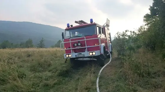 Pożar traw – 29.08.2015 — zdjęcie 10