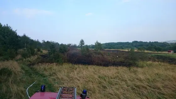 Pożar traw – 29.08.2015 — zdjęcie 12