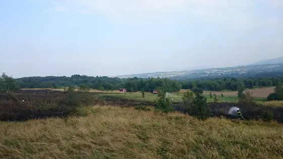 Pożar traw – 29.08.2015 — zdjęcie 13