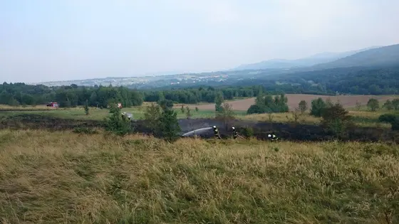 Pożar traw – 29.08.2015 — zdjęcie 14