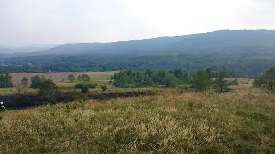 Pożar traw – 29.08.2015 — zdjęcie 15