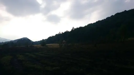 Pożar traw – 29.08.2015 — zdjęcie 17