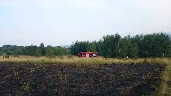 Pożar traw – 29.08.2015 — zdjęcie 18