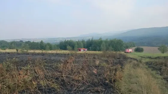 Pożar traw – 29.08.2015 — zdjęcie 19