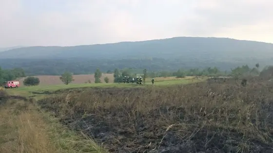 Pożar traw – 29.08.2015 — zdjęcie 20