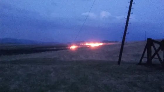 Pożar traw – 5.03.2016