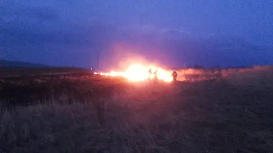 Pożar traw – 5.03.2016 — zdjęcie 8