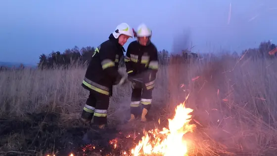 Pożar traw 25.03.2016 — zdjęcie 20
