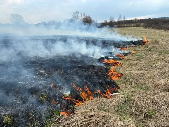 Pożar traw w Krygu — 24.03.2026