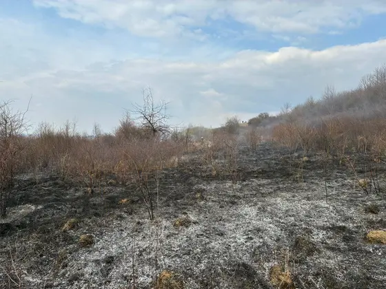 Pożar traw w Krygu — 24.03.2026 — zdjęcie 2