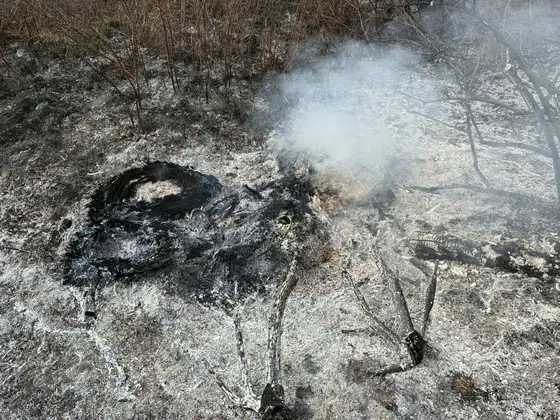 Pożar traw w Krygu — 24.03.2026 — zdjęcie 3