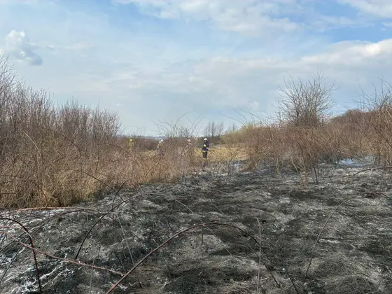 Pożar traw w Krygu — 24.03.2026 — zdjęcie 5