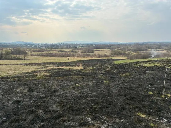 Pożar traw w Krygu — 24.03.2026 — zdjęcie 6