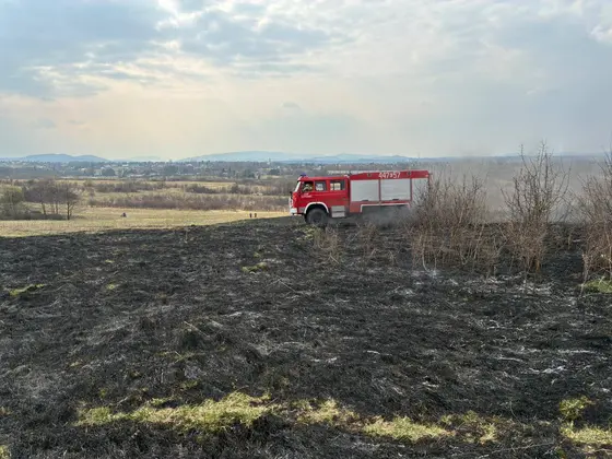 Pożar traw w Krygu — 24.03.2026 — zdjęcie 7