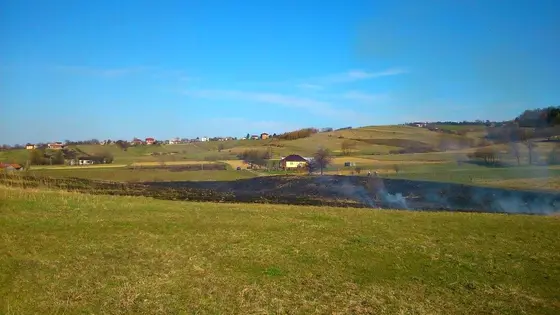 Pożar traw — 10.04.2015 — zdjęcie 48